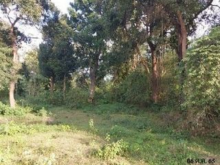Продажа Участок в Loeng Nok Tha, Yasothon