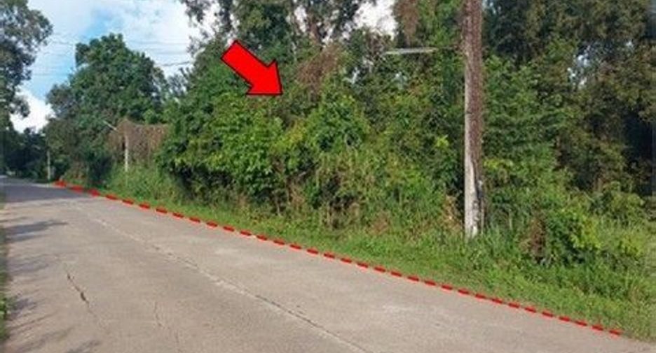 Продажа Участок в Loeng Nok Tha, Yasothon