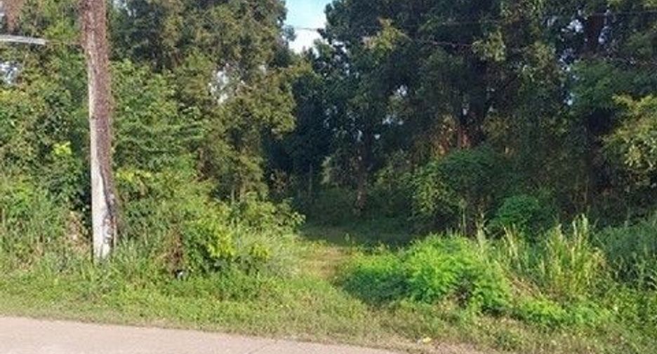 Продажа Участок в Loeng Nok Tha, Yasothon