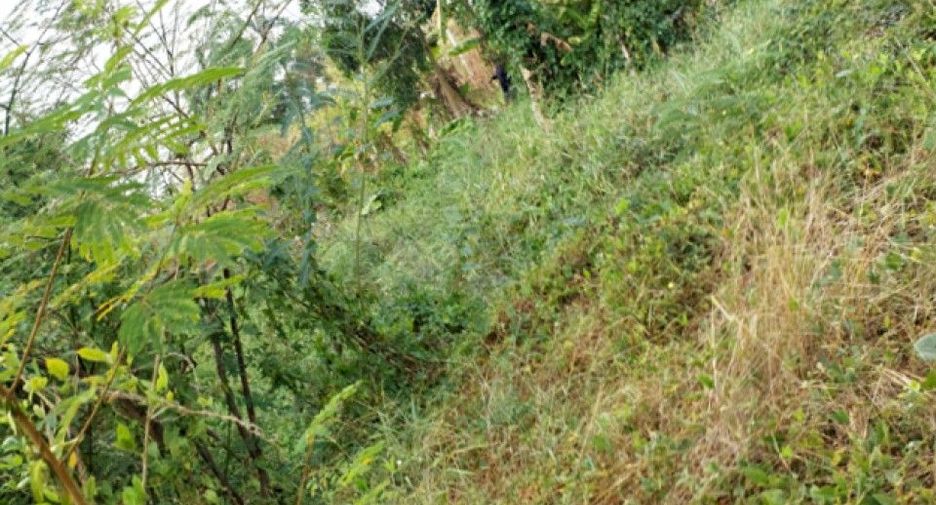 For sale land in Ongkharak, Nakhon Nayok