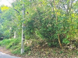 出售 土地 在 苏梅岛, 素叻
