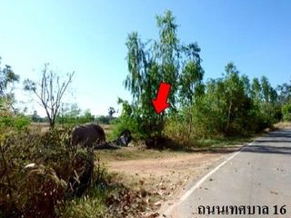 Продажа Участок в Loeng Nok Tha, Yasothon