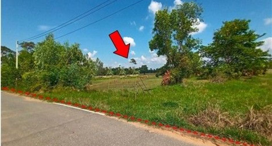 Продажа Участок в Loeng Nok Tha, Yasothon