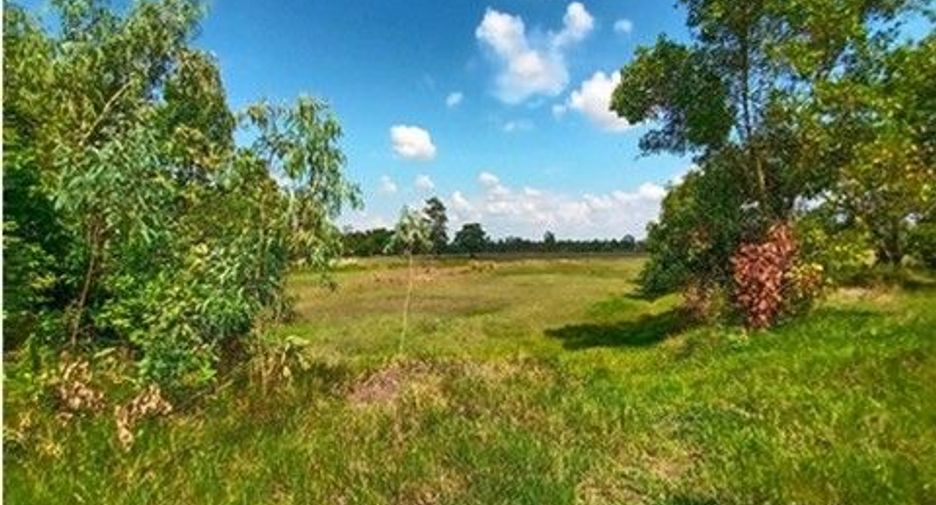 Продажа Участок в Loeng Nok Tha, Yasothon