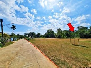 Продажа Участок в Loeng Nok Tha, Yasothon