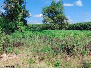 Продажа Участок в Loeng Nok Tha, Yasothon
