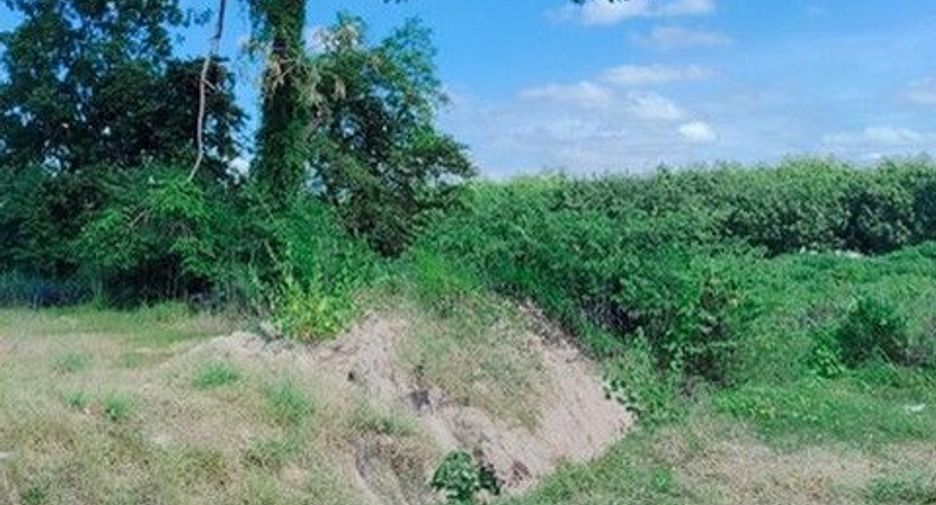 出售 土地 在 Loeng Nok Tha, Yasothon