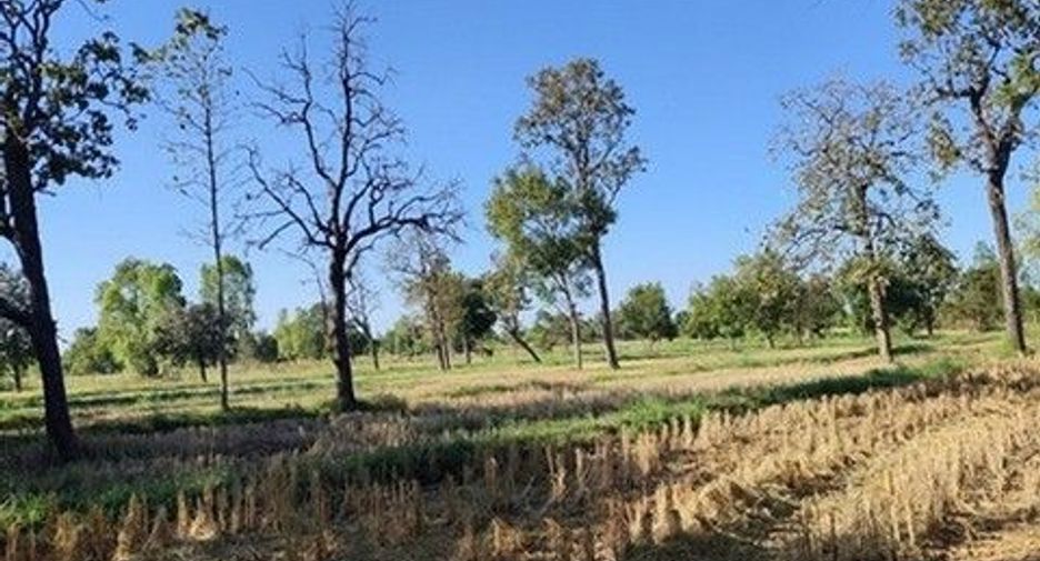 出售 土地 在 Loeng Nok Tha, Yasothon