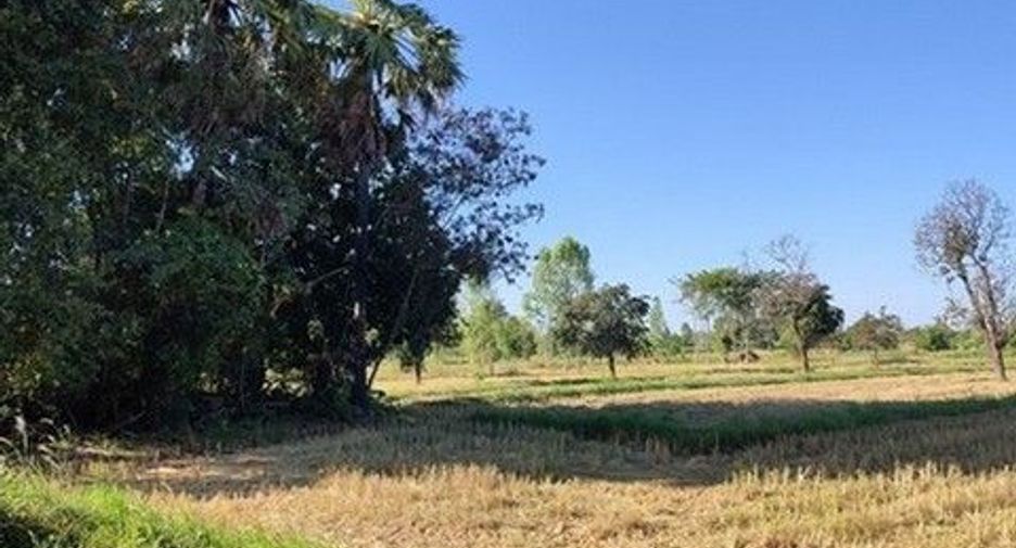 出售 土地 在 Loeng Nok Tha, Yasothon