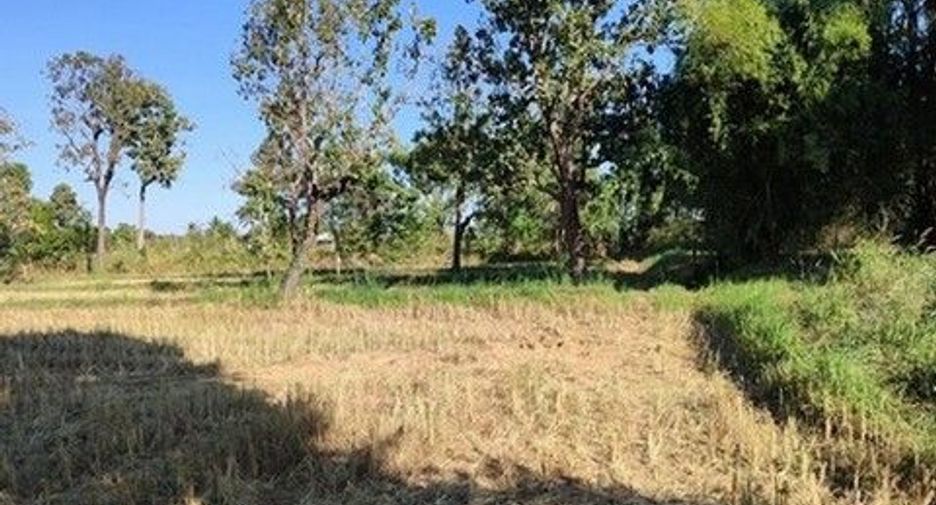 出售 土地 在 Loeng Nok Tha, Yasothon
