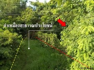 Продажа Участок в Loeng Nok Tha, Yasothon