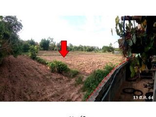 Продажа Участок в Loeng Nok Tha, Yasothon
