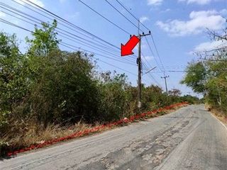 Продажа Участок в Loeng Nok Tha, Yasothon