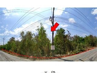 Продажа Участок в Loeng Nok Tha, Yasothon