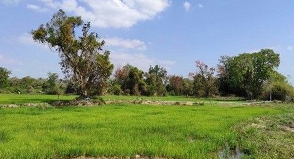 出售 土地 在 Loeng Nok Tha, Yasothon
