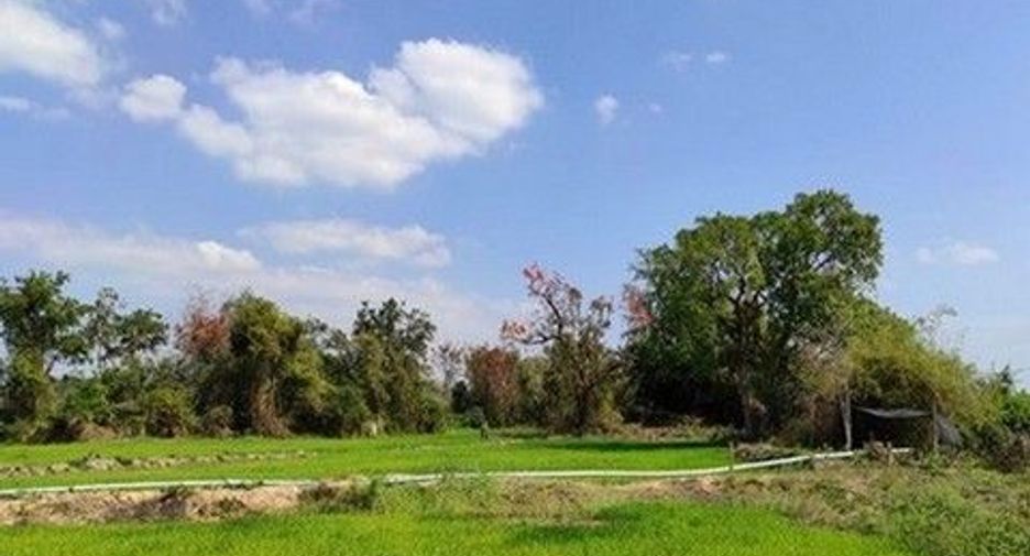 出售 土地 在 Loeng Nok Tha, Yasothon