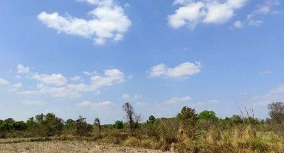 出售 土地 在 Loeng Nok Tha, Yasothon