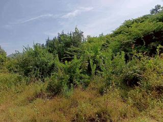 Terreno en venta en Hua Hin, Prachuap Khiri Khan