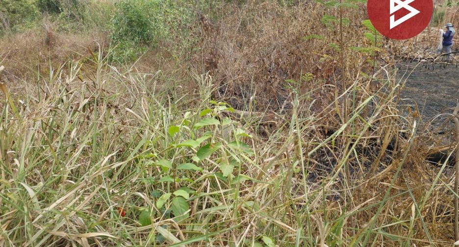 For sale land in Ongkharak, Nakhon Nayok