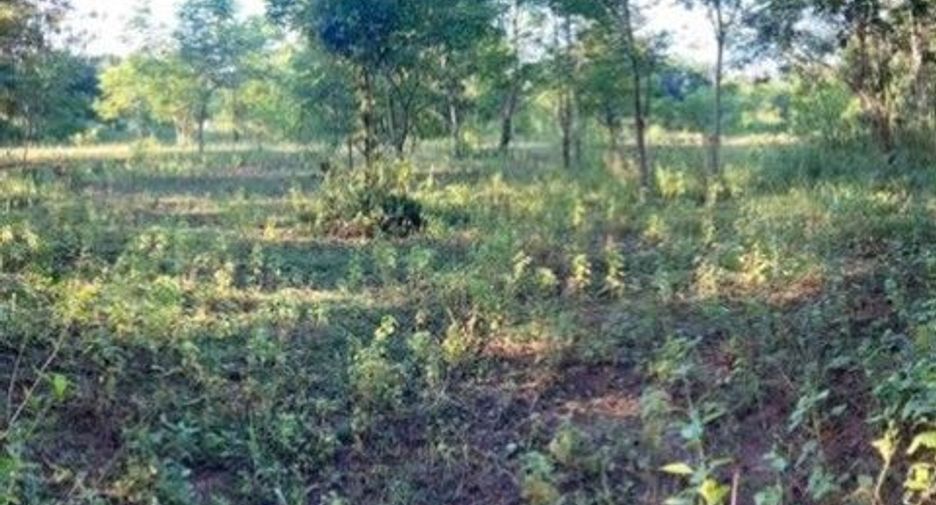 For sale land in Mueang Nong Khai, Nong Khai