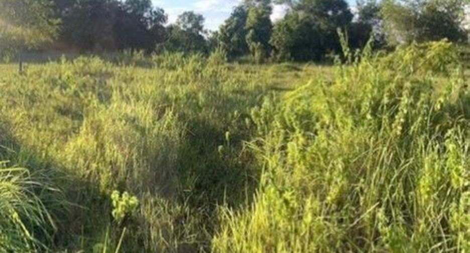 For sale land in Mueang Nong Khai, Nong Khai