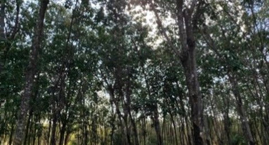 Продажа Участок в Mueang Nong Khai, Нонгкхай