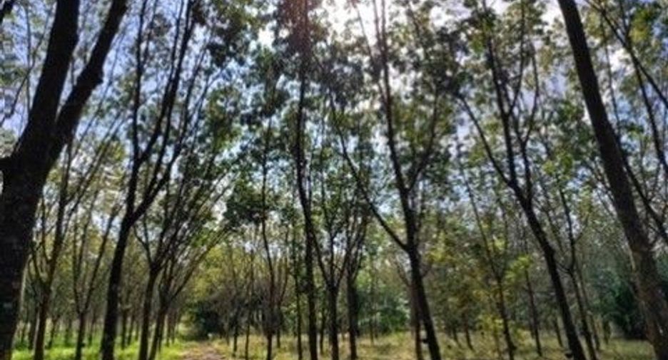Продажа Участок в Mueang Nong Khai, Нонгкхай