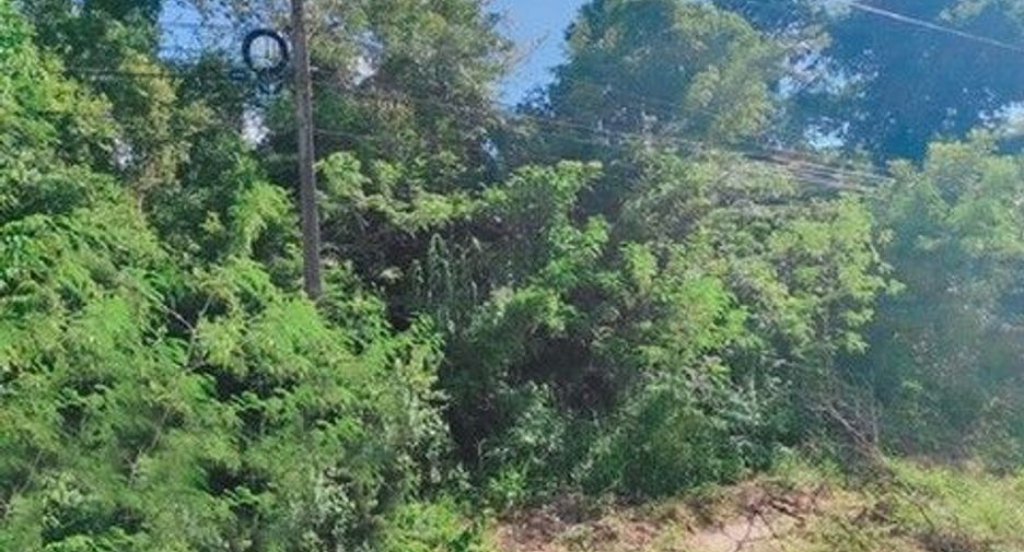 For sale land in Mueang Nong Khai, Nong Khai