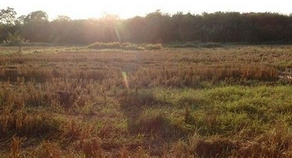 Продажа Участок в Mueang Nong Khai, Нонгкхай