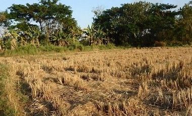 Продажа Участок в Mueang Nong Khai, Нонгкхай