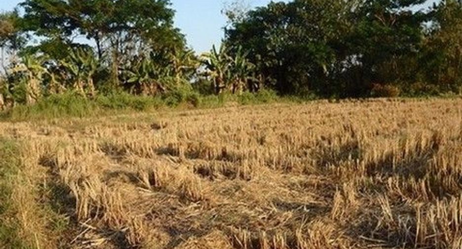 Продажа Участок в Mueang Nong Khai, Нонгкхай