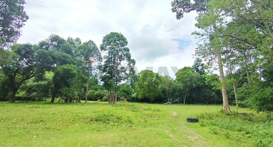 出售 土地 在 苏梅岛, 素叻