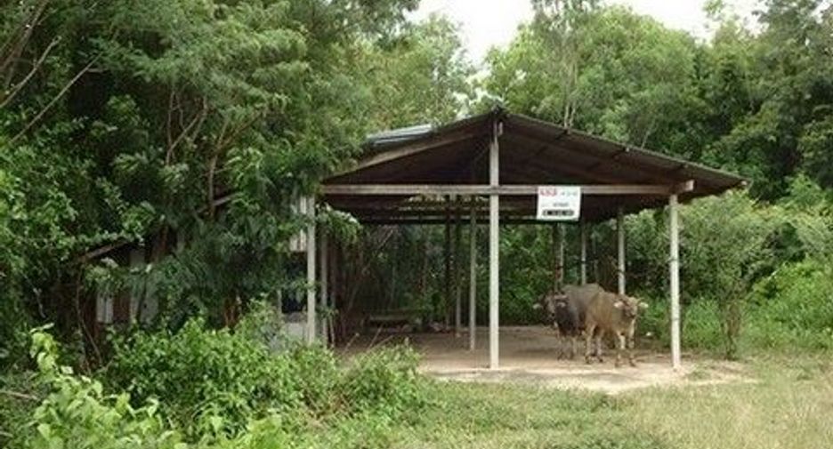 À vendre 1 chambre entrepôt à Sanom, Surin