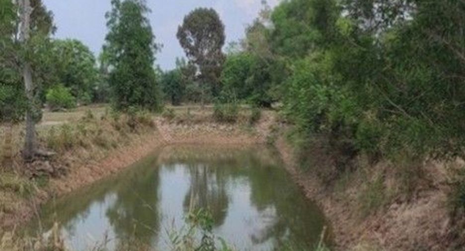 For sale land in Sanom, Surin