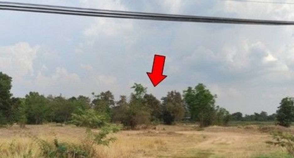 For sale land in Sanom, Surin