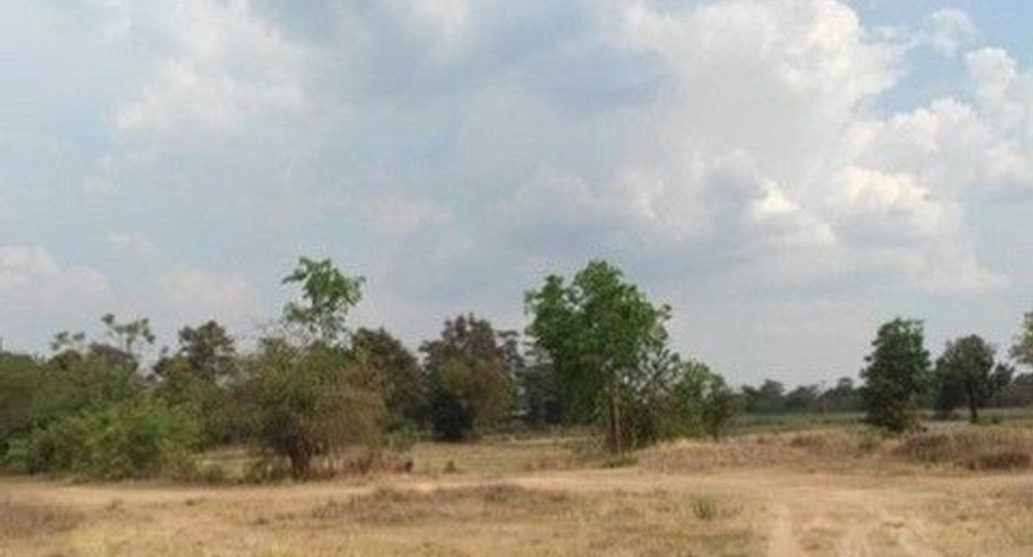 For sale land in Sanom, Surin
