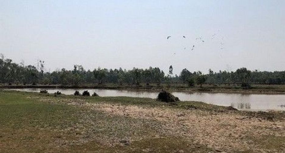 For sale land in Sanom, Surin