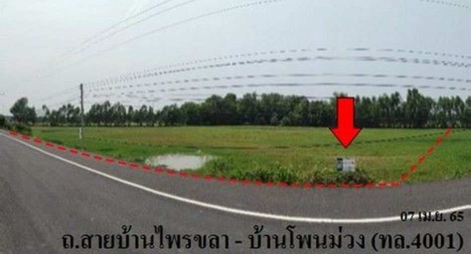 For sale land in Sanom, Surin