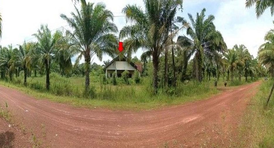 ขาย 1 เตียง บ้านเดี่ยว ใน พังโคน, สกลนคร