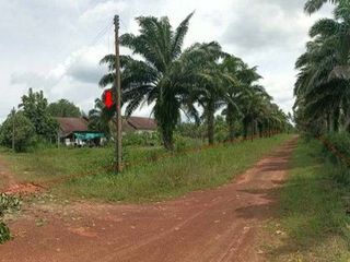 Продажа 1 кровать дом в Phang Khon, Sakon Nakhon