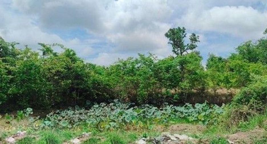 出售 土地 在 Phang Khon, Sakon Nakhon