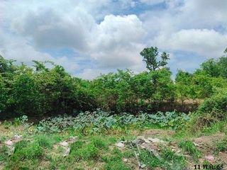 出售 土地 在 Phang Khon, Sakon Nakhon