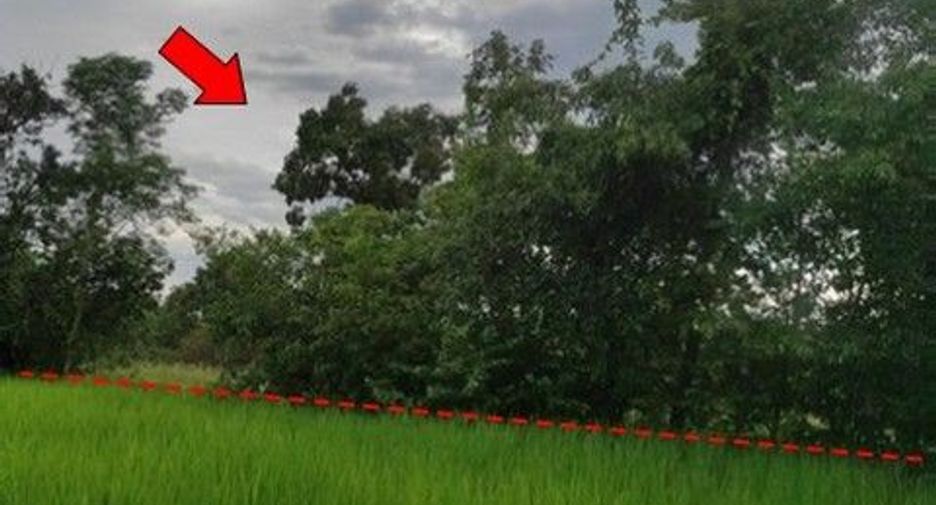 出售 土地 在 Phang Khon, Sakon Nakhon