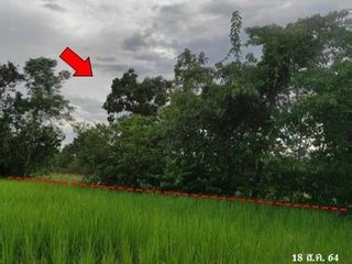 出售 土地 在 Phang Khon, Sakon Nakhon