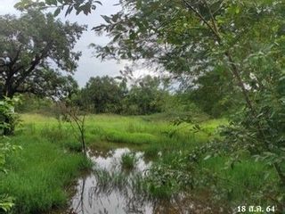 出售 土地 在 Phang Khon, Sakon Nakhon