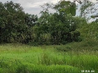 出售 土地 在 Phang Khon, Sakon Nakhon