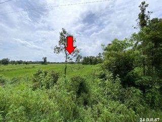 出售 土地 在 Phang Khon, Sakon Nakhon