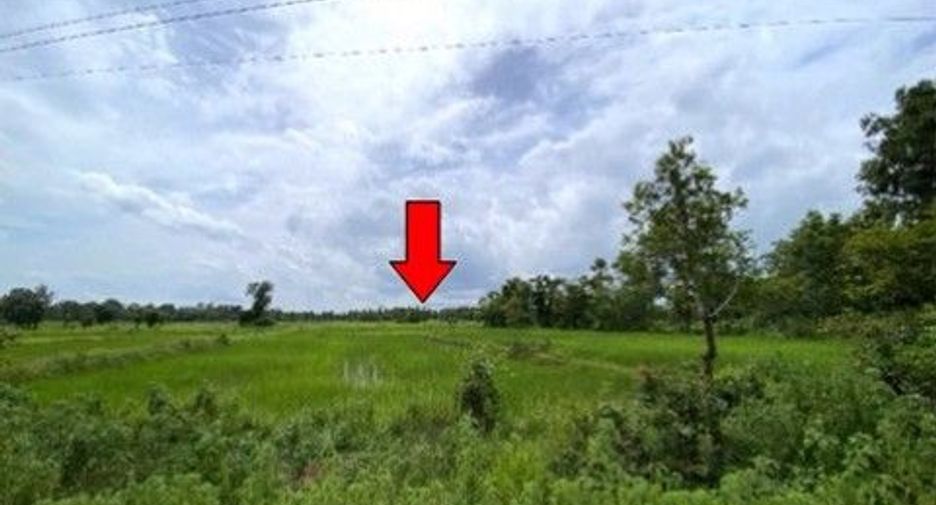 出售 土地 在 Phang Khon, Sakon Nakhon