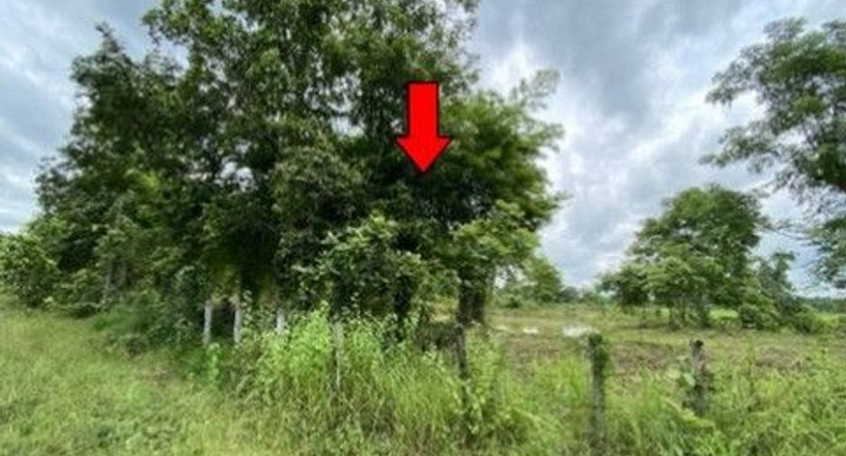 出售 土地 在 Phang Khon, Sakon Nakhon