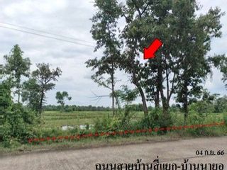 出售 土地 在 Phang Khon, Sakon Nakhon